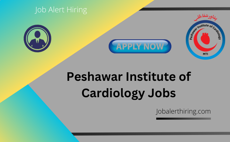 Jobs in Peshawar Pakistan